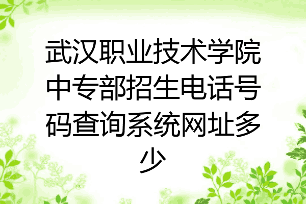 武汉职业技术学院中专部招生电话号码查询系统网址多少