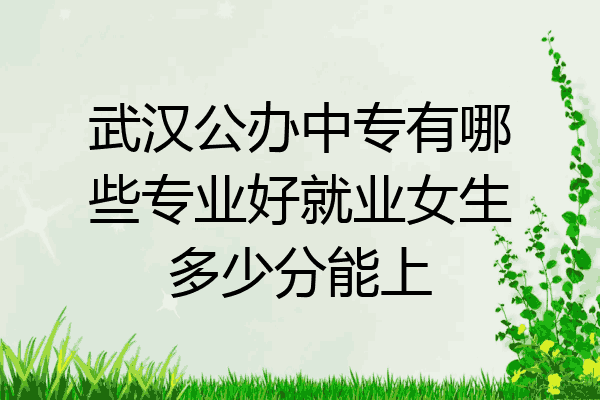 武汉公办中专有哪些专业好就业女生多少分能上