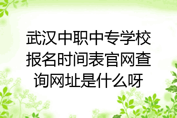 武汉中职中专学校报名时间表官网查询网址是什么呀