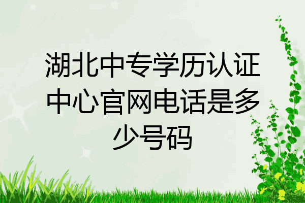 湖北中专学历认证中心官网电话是多少号码