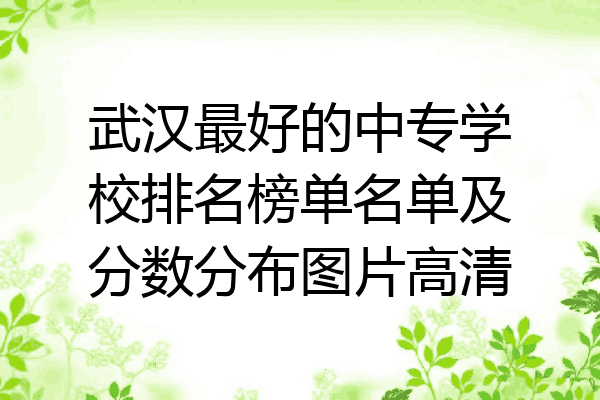 武汉最好的中专学校排名榜单名单及分数分布图片高清