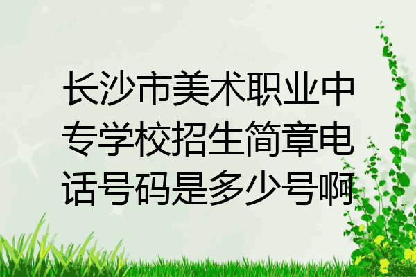 长沙市美术职业中专学校招生简章电话号码是多少号啊