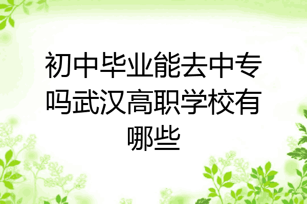 初中毕业能去中专吗武汉高职学校有哪些