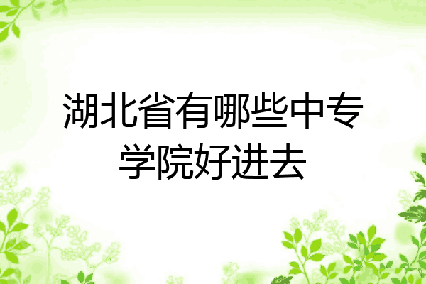 湖北省有哪些中专学院好进去