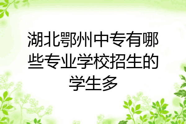 湖北鄂州中专有哪些专业学校招生的学生多