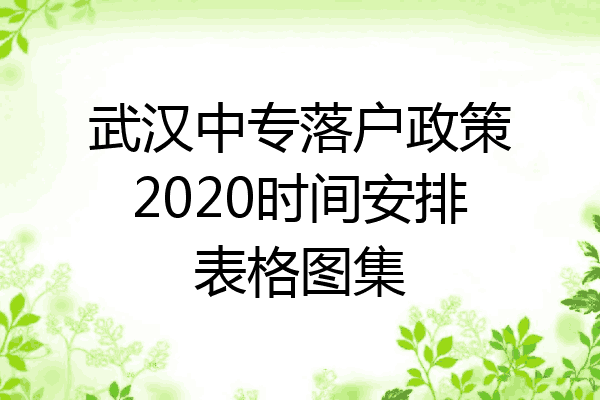 武汉中专落户政策2020时间安排表格图集