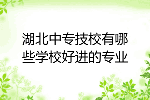 湖北中专技校有哪些学校好进的专业