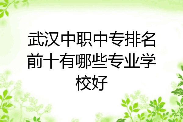 武汉中职中专排名前十有哪些专业学校好