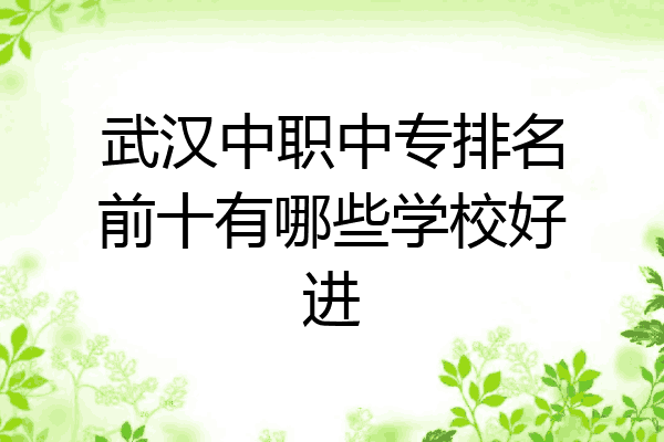 武汉中职中专排名前十有哪些学校好进