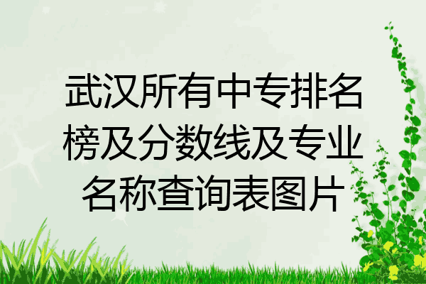 武汉所有中专排名榜及分数线及专业名称查询表图片