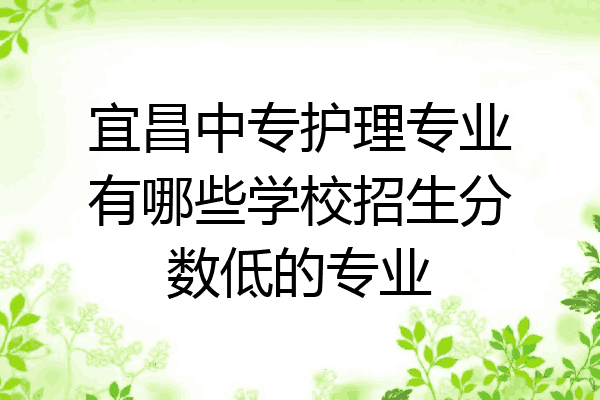 宜昌中专护理专业有哪些学校招生分数低的专业