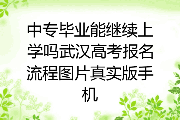 中专毕业能继续上学吗武汉高考报名流程图片真实版手机