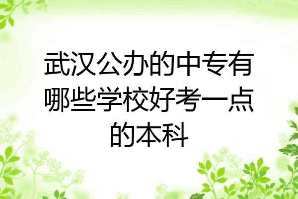 武汉公办的中专有哪些学校好考一点的本科