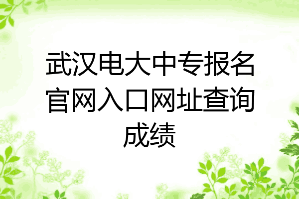 武汉电大中专报名官网入口网址查询成绩