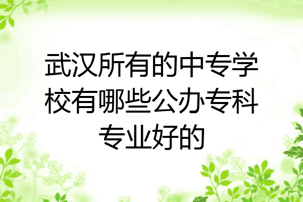 武汉所有的中专学校有哪些公办专科专业好的