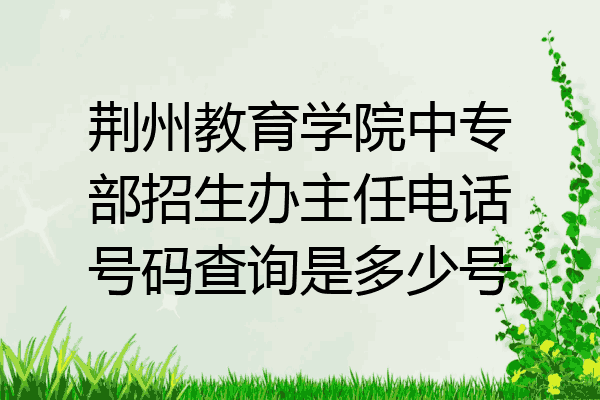 荆州教育学院中专部招生办主任电话号码查询是多少号