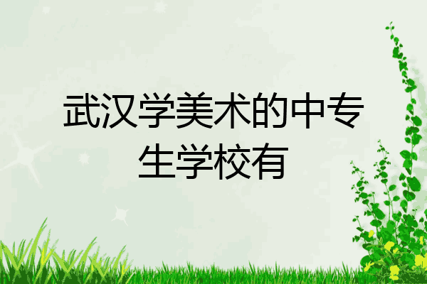 武汉学美术的中专生学校有