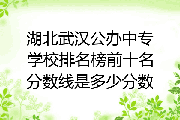 湖北武汉公办中专学校排名榜前十名分数线是多少分数