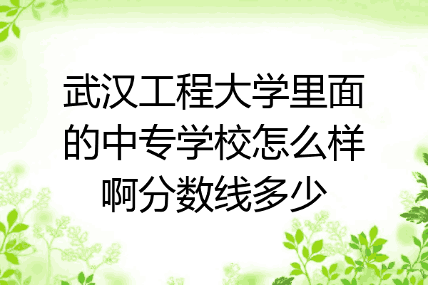 武汉工程大学里面的中专学校怎么样啊分数线多少