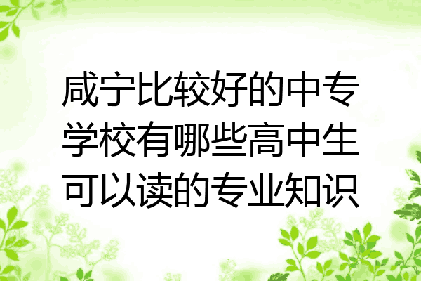 咸宁比较好的中专学校有哪些高中生可以读的专业知识