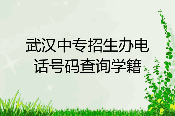 武汉中专招生办电话号码查询学籍