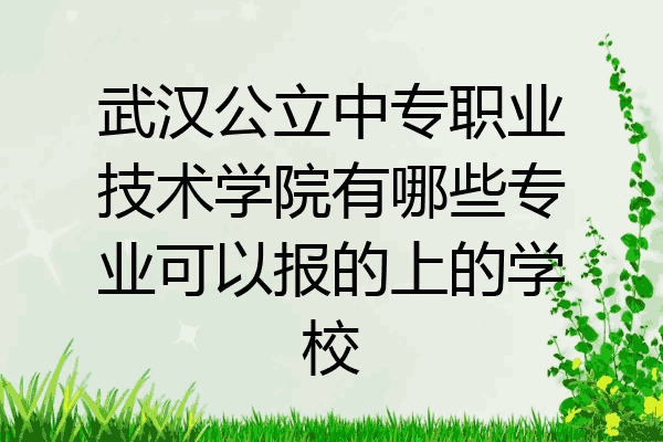 武汉公立中专职业技术学院有哪些专业可以报的上的学校