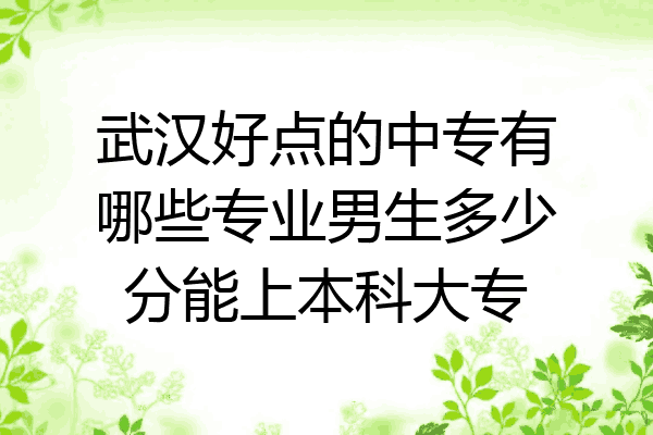 武汉好点的中专有哪些专业男生多少分能上本科大专