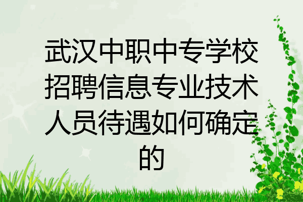武汉中职中专学校招聘信息专业技术人员待遇如何确定的