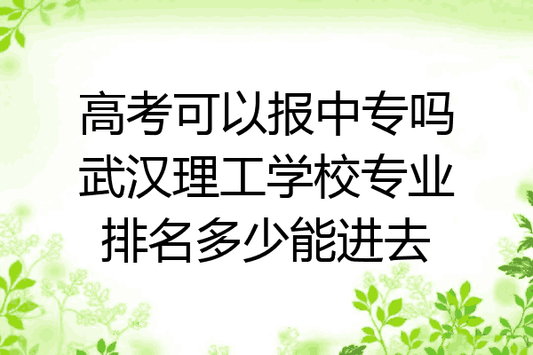 高考可以报中专吗武汉理工学校专业排名多少能进去
