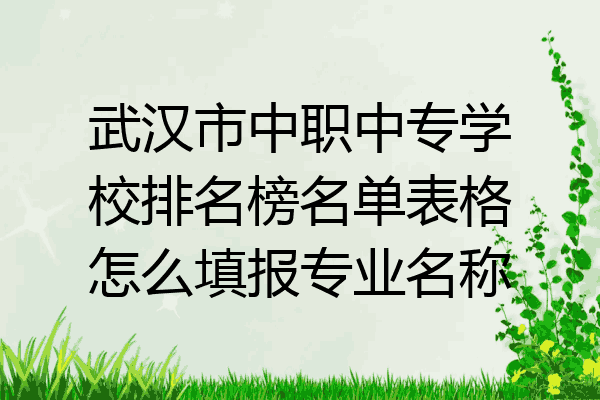 武汉市中职中专学校排名榜名单表格怎么填报专业名称