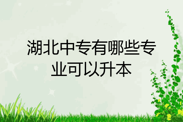 湖北中专有哪些专业可以升本