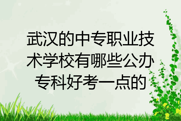 武汉的中专职业技术学校有哪些公办专科好考一点的