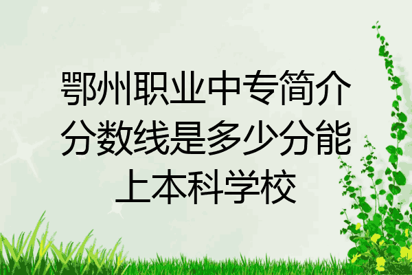 鄂州职业中专简介分数线是多少分能上本科学校