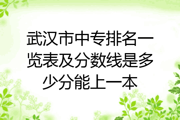 武汉市中专排名一览表及分数线是多少分能上一本