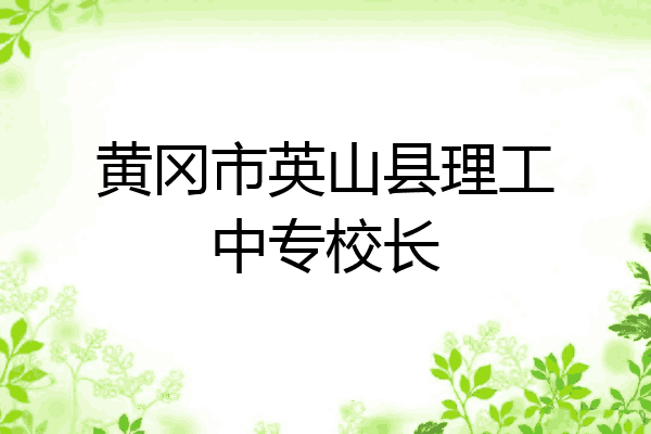 黄冈市英山县理工中专校长