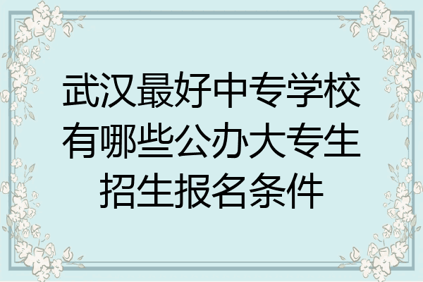武汉最好中专学校有哪些公办大专生招生报名条件