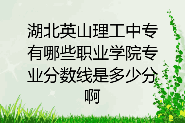 湖北英山理工中专有哪些职业学院专业分数线是多少分啊