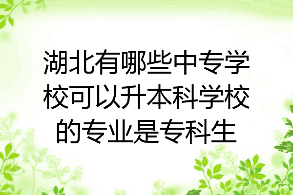 湖北有哪些中专学校可以升本科学校的专业是专科生
