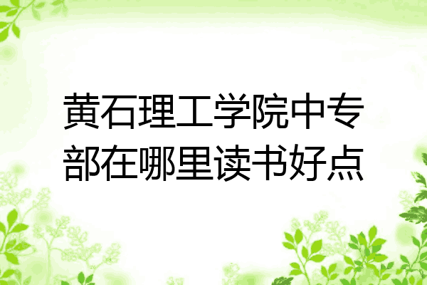 黄石理工学院中专部在哪里读书好点