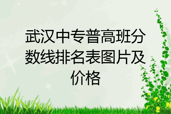 武汉中专普高班分数线排名表图片及价格