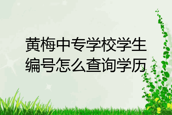 黄梅中专学校学生编号怎么查询学历