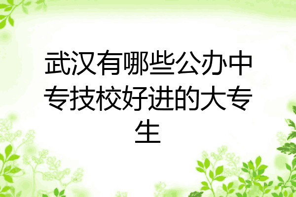 武汉有哪些公办中专技校好进的大专生