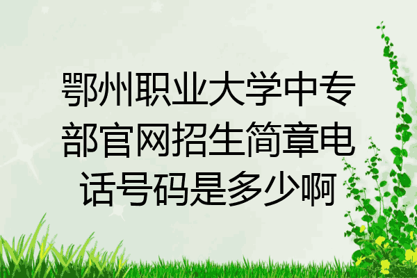 鄂州职业大学中专部官网招生简章电话号码是多少啊