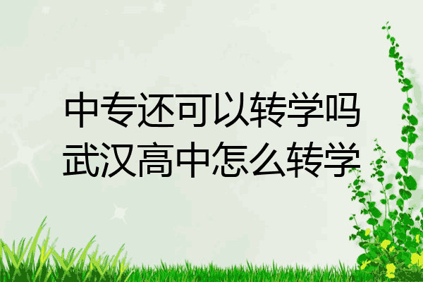 中专还可以转学吗武汉高中怎么转学
