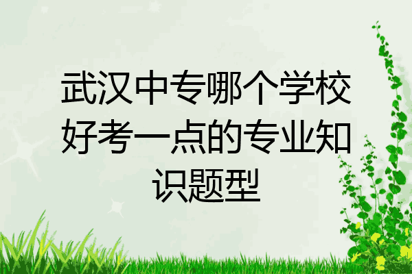 武汉中专哪个学校好考一点的专业知识题型