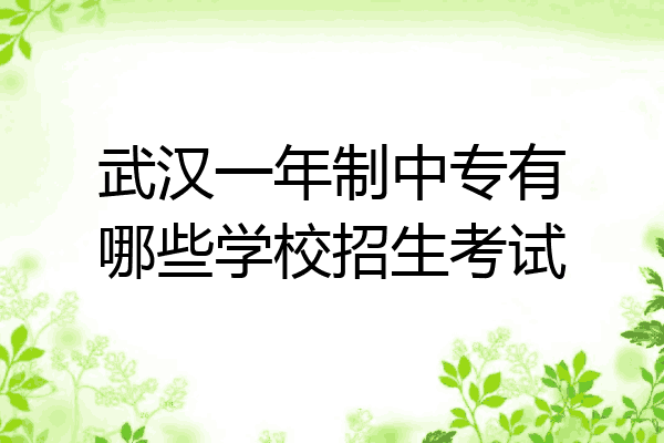 武汉一年制中专有哪些学校招生考试