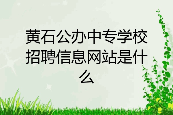 黄石公办中专学校招聘信息网站是什么