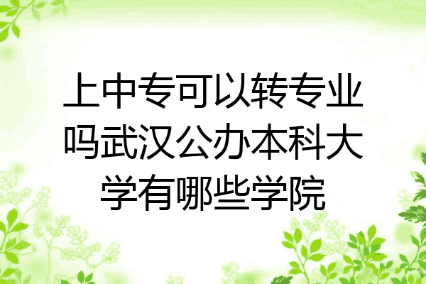 上中专可以转专业吗武汉公办本科大学有哪些学院