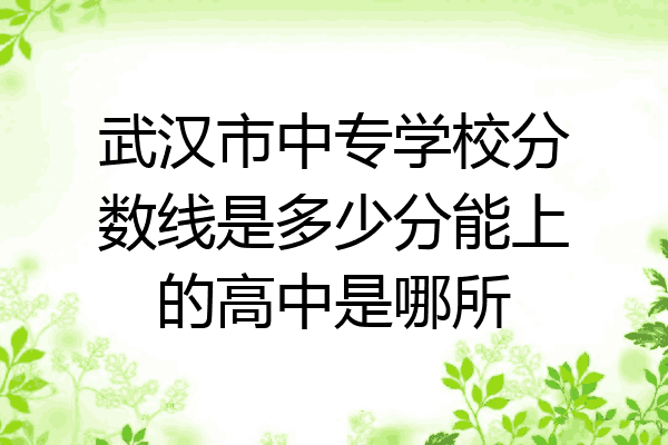 武汉市中专学校分数线是多少分能上的高中是哪所