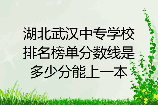 湖北武汉中专学校排名榜单分数线是多少分能上一本